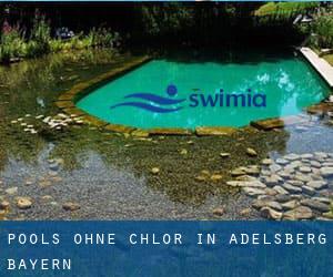 Pools-ohne-chlor in Adelsberg (Bayern)