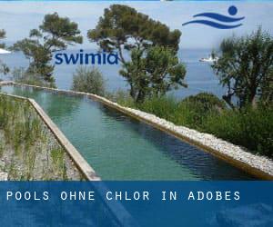 Pools-ohne-chlor in Adobes