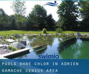 Pools-ohne-chlor in Adrien-Gamache (census area)