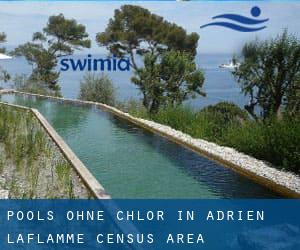 Pools-ohne-chlor in Adrien-Laflamme (census area)