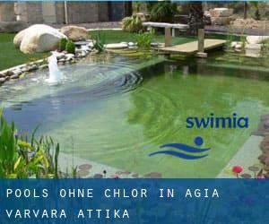 Pools-ohne-chlor in Agía Varvára (Attika)