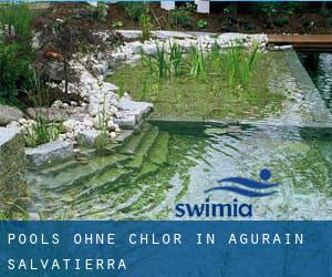 Pools-ohne-chlor in Agurain / Salvatierra