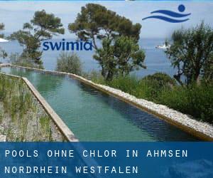 Pools-ohne-chlor in Ahmsen (Nordrhein-Westfalen)