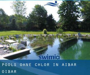 Pools-ohne-chlor in Aibar / Oibar