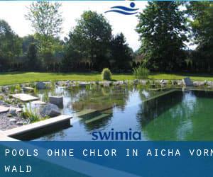 Pools-ohne-chlor in Aicha vorm Wald