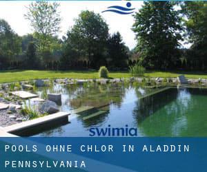 Pools-ohne-chlor in Aladdin (Pennsylvania)