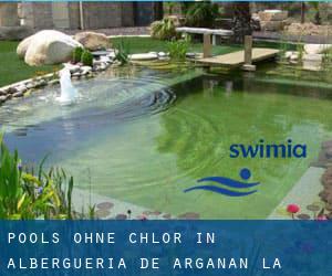 Pools-ohne-chlor in Alberguería de Argañán (La)