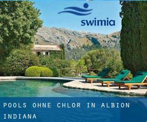 Pools-ohne-chlor in Albion (Indiana)