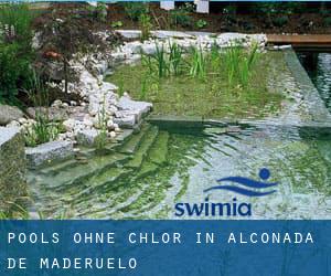 Pools-ohne-chlor in Alconada de Maderuelo