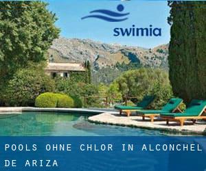 Pools-ohne-chlor in Alconchel de Ariza