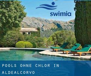 Pools-ohne-chlor in Aldealcorvo