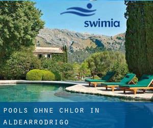 Pools-ohne-chlor in Aldearrodrigo