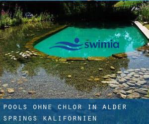 Pools-ohne-chlor in Alder Springs (Kalifornien)