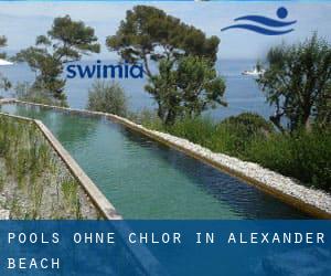 Pools-ohne-chlor in Alexander Beach