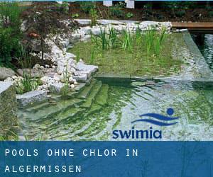 Pools-ohne-chlor in Algermissen