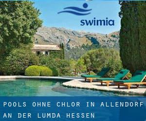 Pools-ohne-chlor in Allendorf an der Lumda (Hessen)