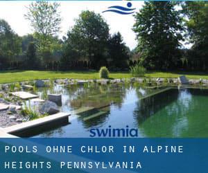 Pools-ohne-chlor in Alpine Heights (Pennsylvania)