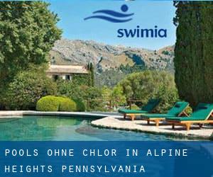 Pools-ohne-chlor in Alpine Heights (Pennsylvania)