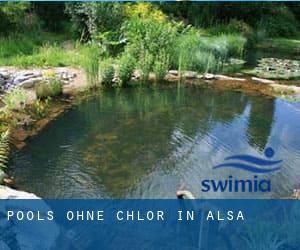 Pools-ohne-chlor in Alsa