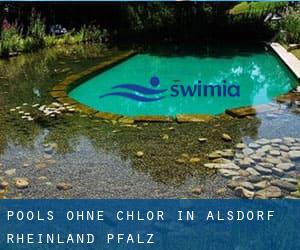 Pools-ohne-chlor in Alsdorf (Rheinland-Pfalz)