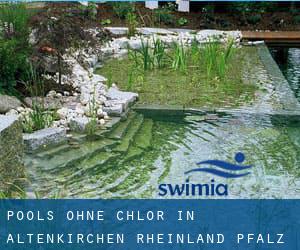 Pools-ohne-chlor in Altenkirchen (Rheinland-Pfalz)