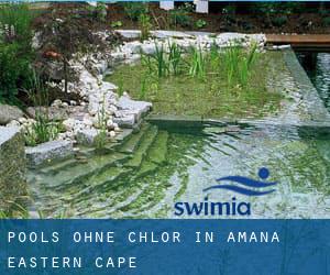 Pools-ohne-chlor in Amana (Eastern Cape)