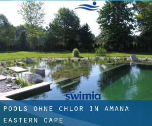 Pools-ohne-chlor in Amana (Eastern Cape)