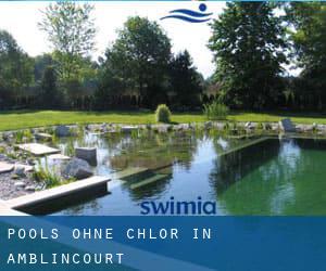 Pools-ohne-chlor in Amblincourt