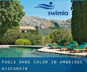 Pools-ohne-chlor in Ambridge (Wisconsin)