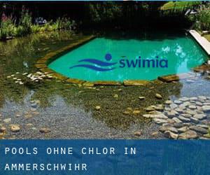 Pools-ohne-chlor in Ammerschwihr