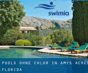 Pools-ohne-chlor in Amys Acres (Florida)