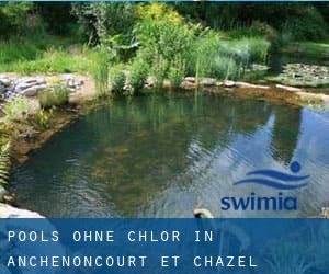 Pools-ohne-chlor in Anchenoncourt-et-Chazel