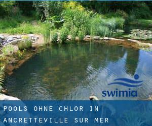 Pools-ohne-chlor in Ancretteville-sur-Mer