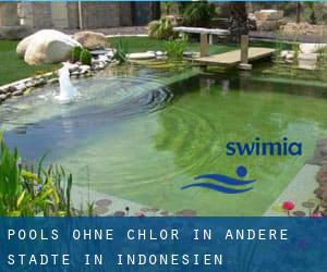 Pools-ohne-chlor in Andere Städte in Indonesien