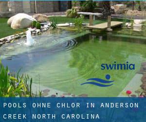 Pools-ohne-chlor in Anderson Creek (North Carolina)