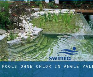 Pools-ohne-chlor in Angle Vale