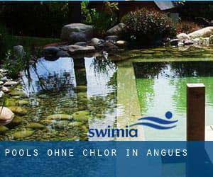 Pools-ohne-chlor in Angüés