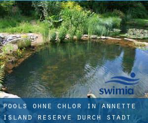 Pools-ohne-chlor in Annette Island Reserve durch Stadt - Seite 1