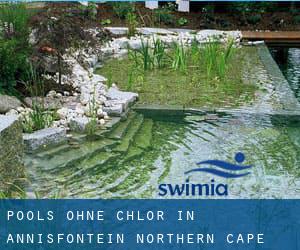 Pools-ohne-chlor in Annisfontein (Northern Cape)