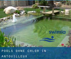 Pools-ohne-chlor in Antouilleux