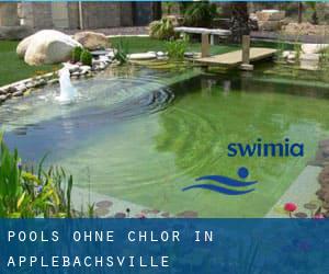 Pools-ohne-chlor in Applebachsville