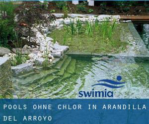 Pools-ohne-chlor in Arandilla del Arroyo