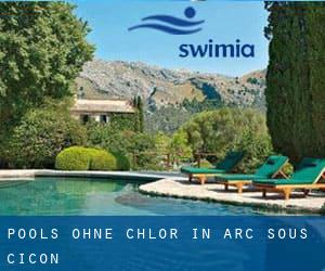 Pools-ohne-chlor in Arc-sous-Cicon