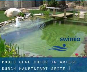 Pools-ohne-chlor in Ariège durch Hauptstadt - Seite 1