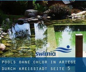 Pools-ohne-chlor in Ariège durch Kreisstadt - Seite 5