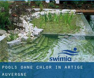 Pools-ohne-chlor in Artige (Auvergne)