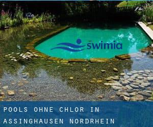 Pools-ohne-chlor in Assinghausen (Nordrhein-Westfalen)