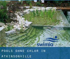 Pools-ohne-chlor in Atkinsonville