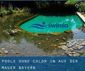 Pools-ohne-chlor in Auf der Mauer (Bayern)