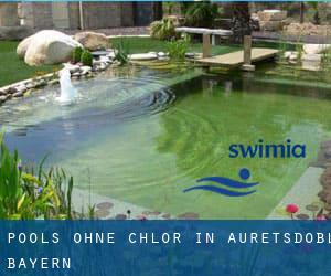 Pools-ohne-chlor in Auretsdobl (Bayern)